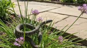 Serpente tra l'erba in un giardino vicino a fiori viola