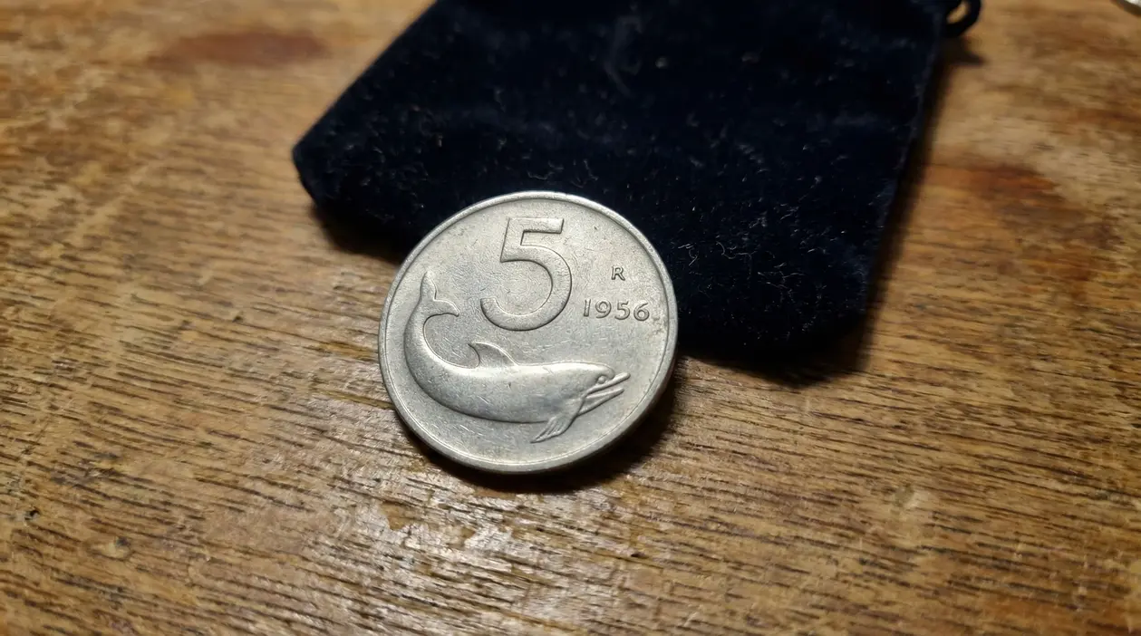 Moneta da 5 lire del 1956 con delfino appoggiata su tavolo di legno